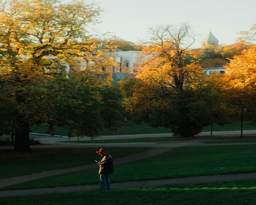A person wearing casual clothes enjoying a peaceful fast walk through a colorful city park during early autumn weather